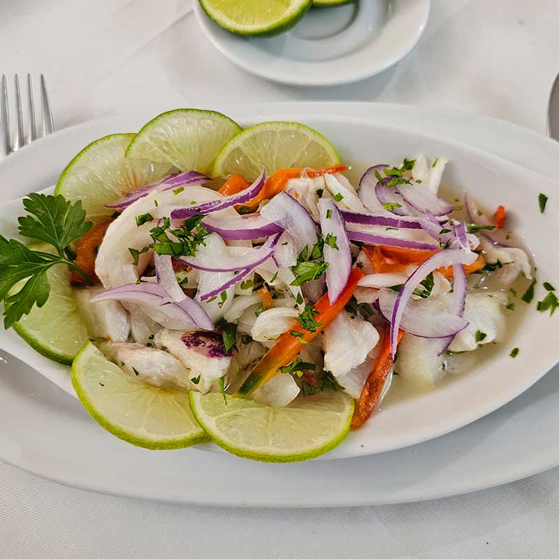 Ceviche macuteño